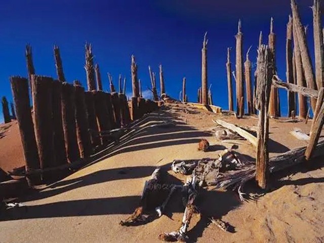 新疆挖出清代干尸,尘封16年的尸骨被挖出