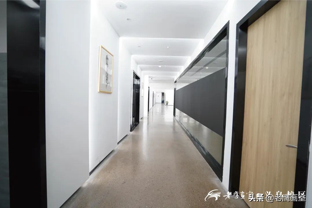 老鹰画室精品班和进阶班,成都老鹰画室和成都艺考画室