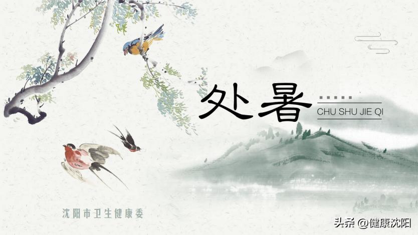 处暑节气的活动及养生妙招,24节气里的处暑上一个节气是什么