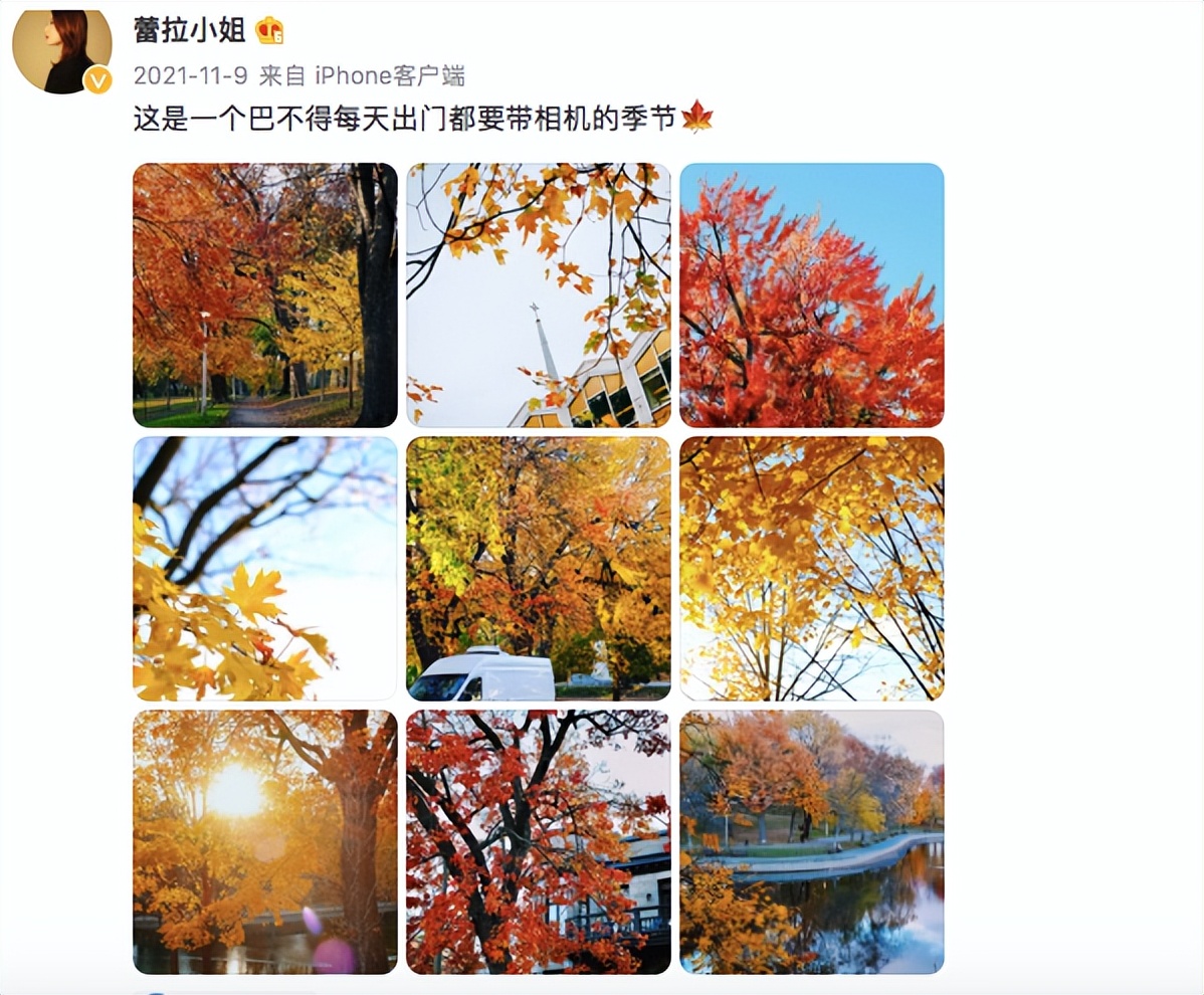 许婧对陈赫的评价,陈赫许婧谈了多少年