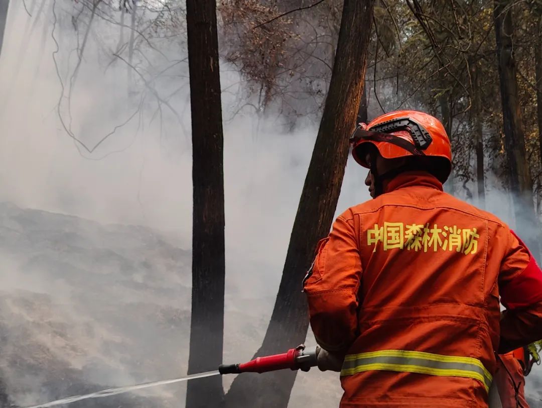 森林消防员应该怎么考,云南森林消防员训练