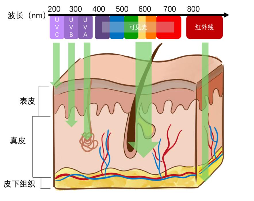 相信有光吗,相信光的梗