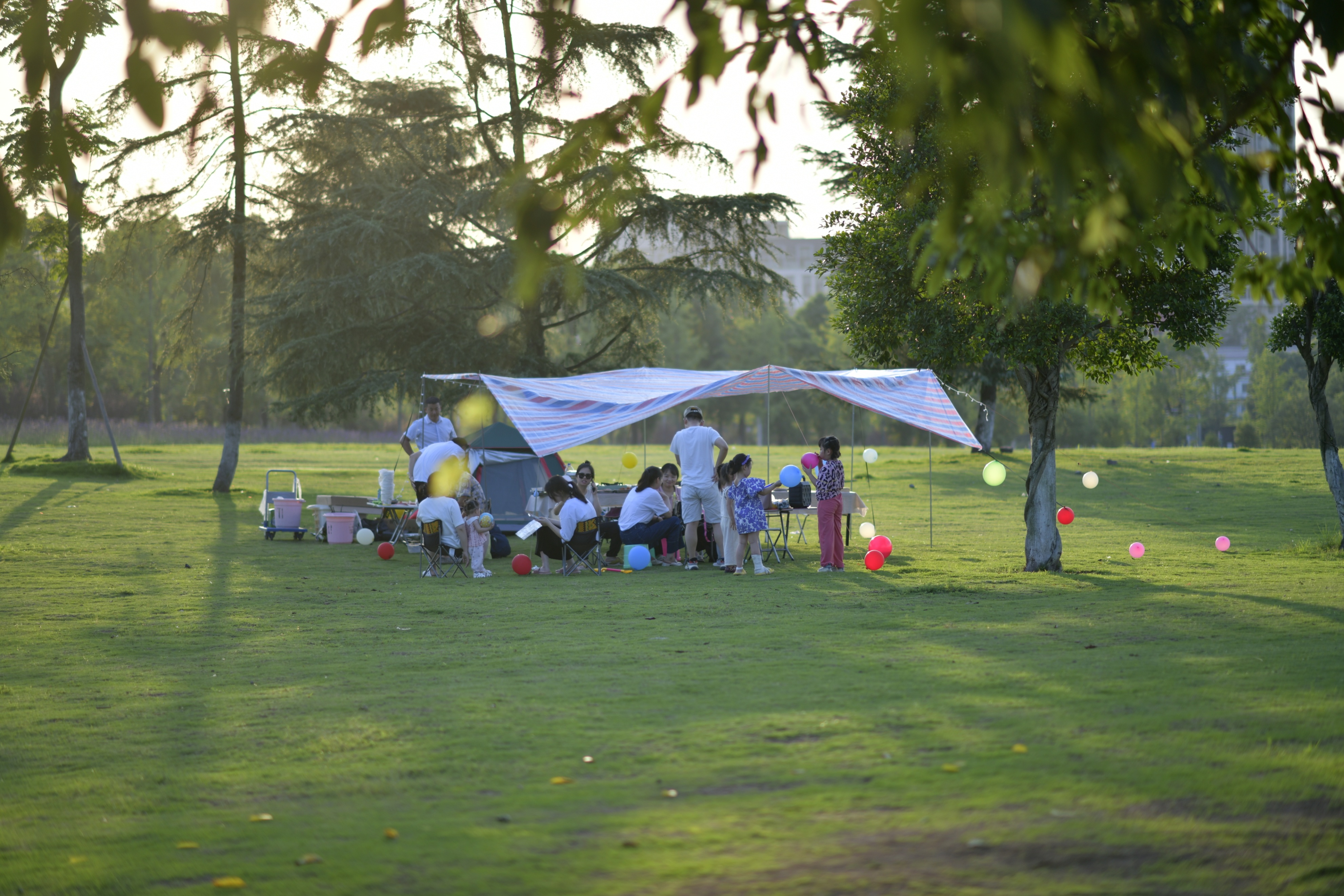 重庆市赏花胜地游玩线路,重庆渝北周边赏花地点推荐