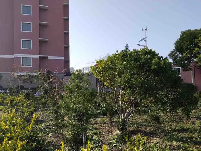 画与景,幼儿长卷画景