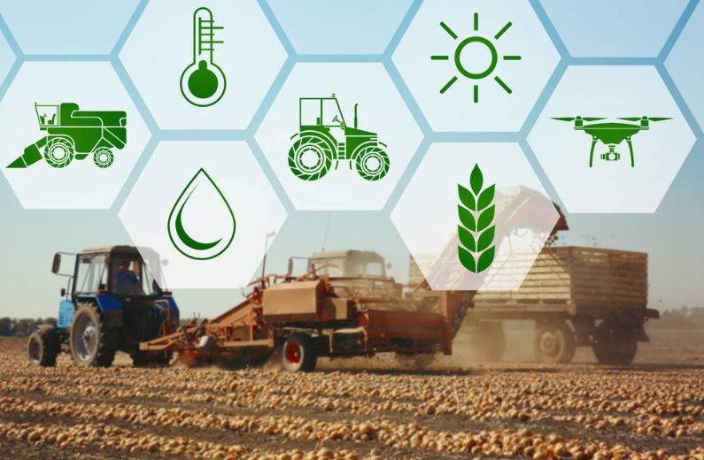 如何通过政策支持农业可持续发展,农业可持续性发展的理论与实践