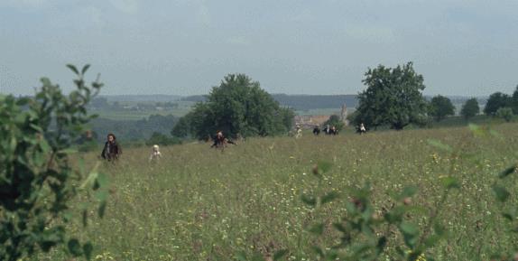 99元酒店AV夜宴:比《甄嬛传》还惊艳!