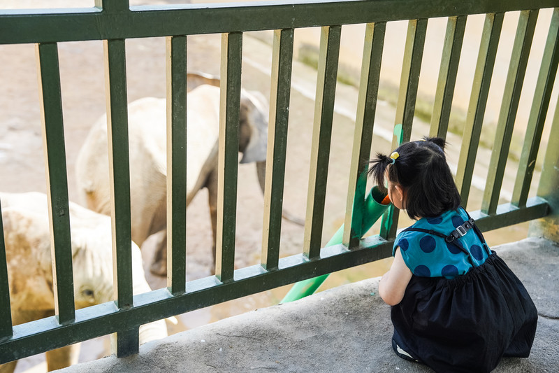 安吉中南百草园二天一夜攻略,安吉中南百草原刺激游乐项目