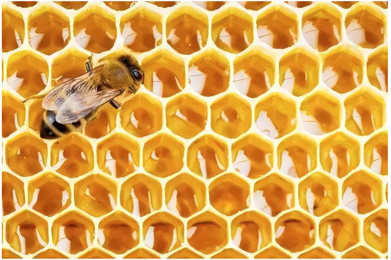 让孩子了解100多种动物的科普知识,为小朋友讲解动物知识