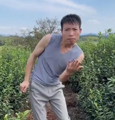 网红帅农鸟哥视频,黑马帅农鸟哥是如何走红的