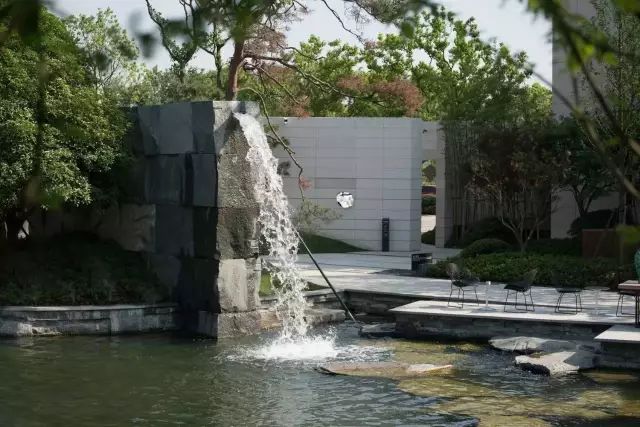 大山里捡回来的石头,大山里的石头块