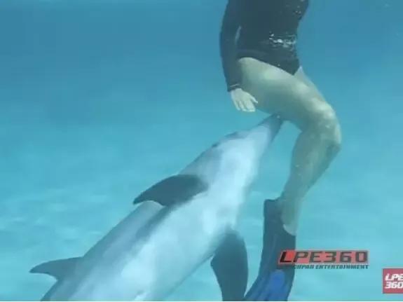 动物交，配时间表，最短0.3秒，最长的竟然是……