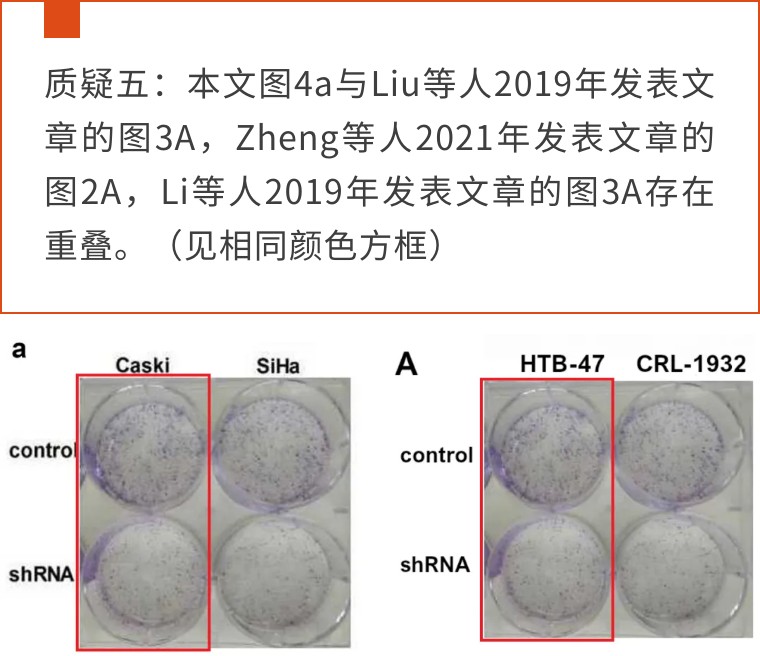 天津医科大学第二医院的9分论文遭评议！疑似与同期论文多图重叠