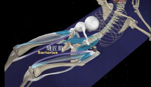 腰椎间盘突出可以练习腹肌吗,腰椎间盘突出如何锻炼腹肌