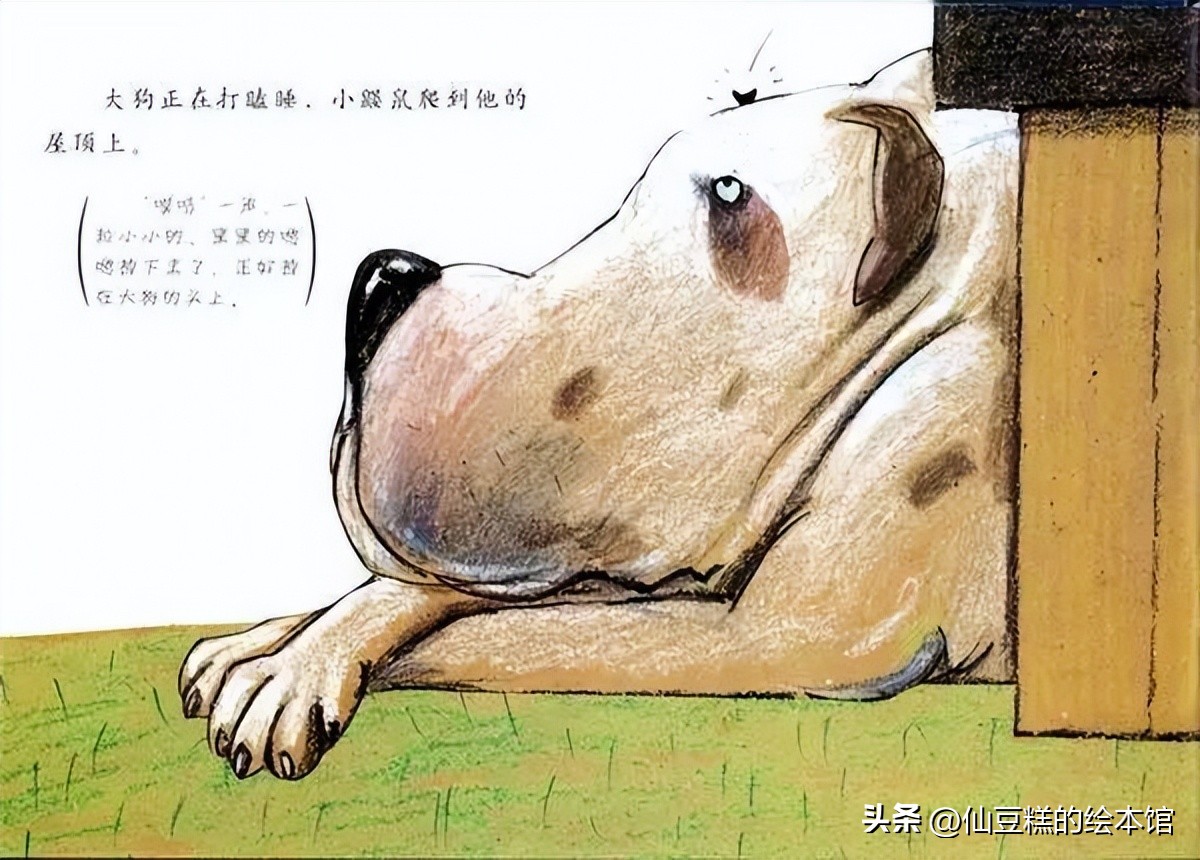 绘本阅读引导小朋友学会面对生气,适合2-3岁小孩阅读的绘本