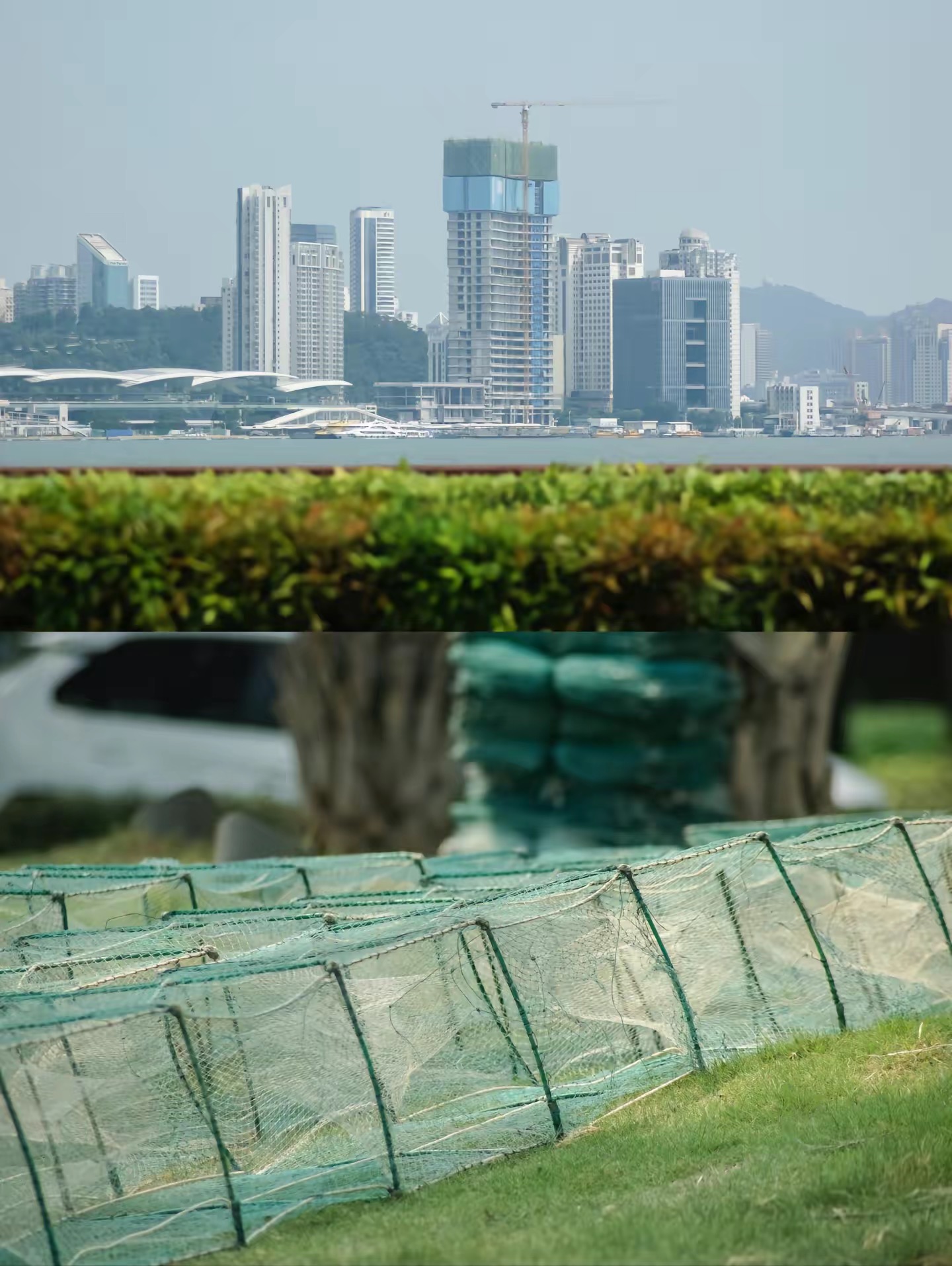 适合小白的ccd相机推荐,拍照好的ccd相机推荐