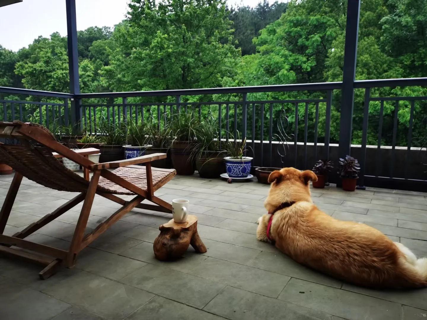 每一个冬天都会过去春天总会到来,别忧愁别烦恼一切都会过去的