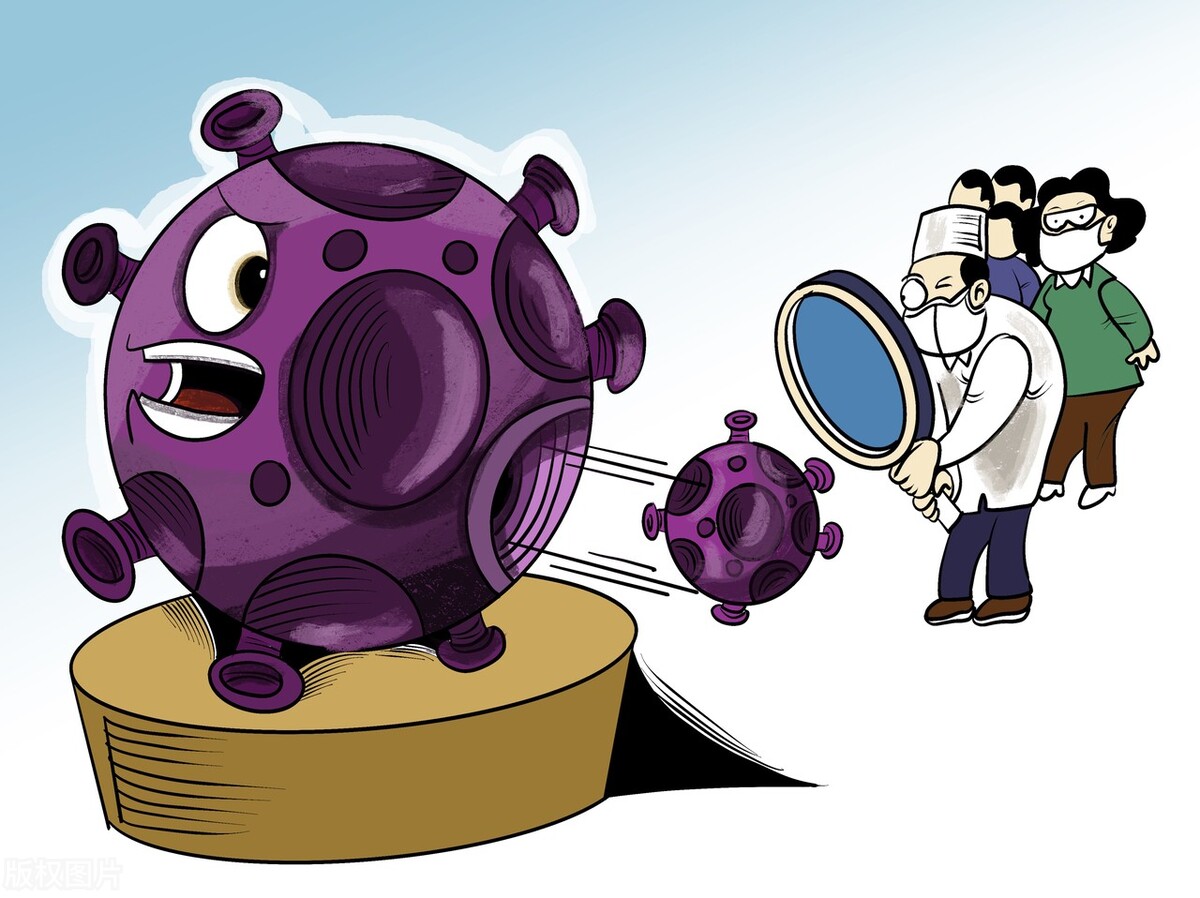 提高免疫力的平价食物,增强体质提高免疫力的食物有哪些