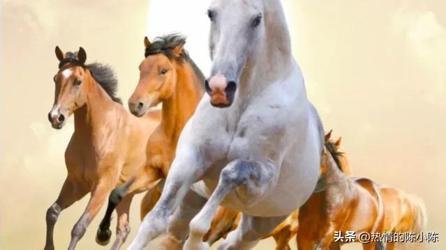 蒙古姑娘出嫁要陪嫁多少东西,蒙古姑娘出嫁仪式