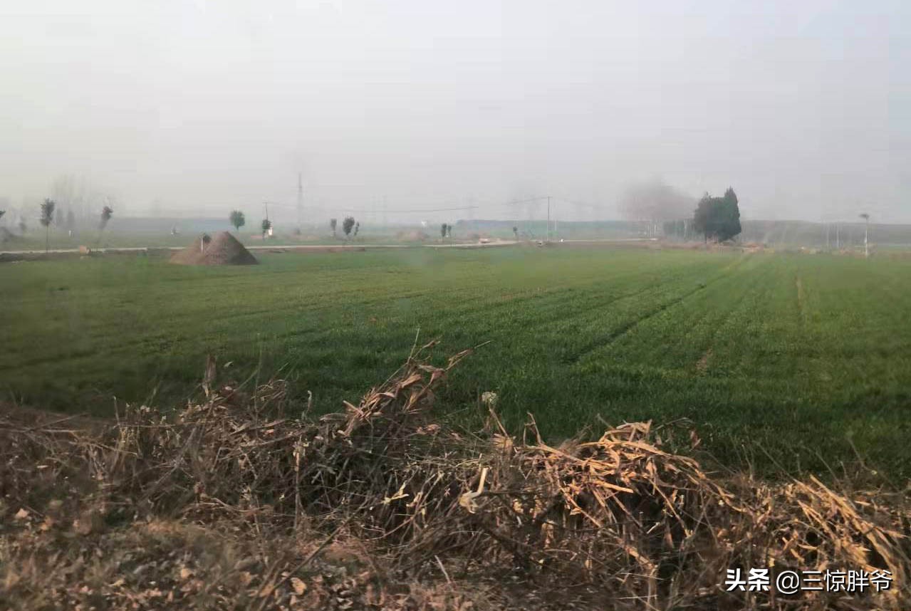 女工口述史：在东莞打工9年，我有过后悔，但庆幸没变坏