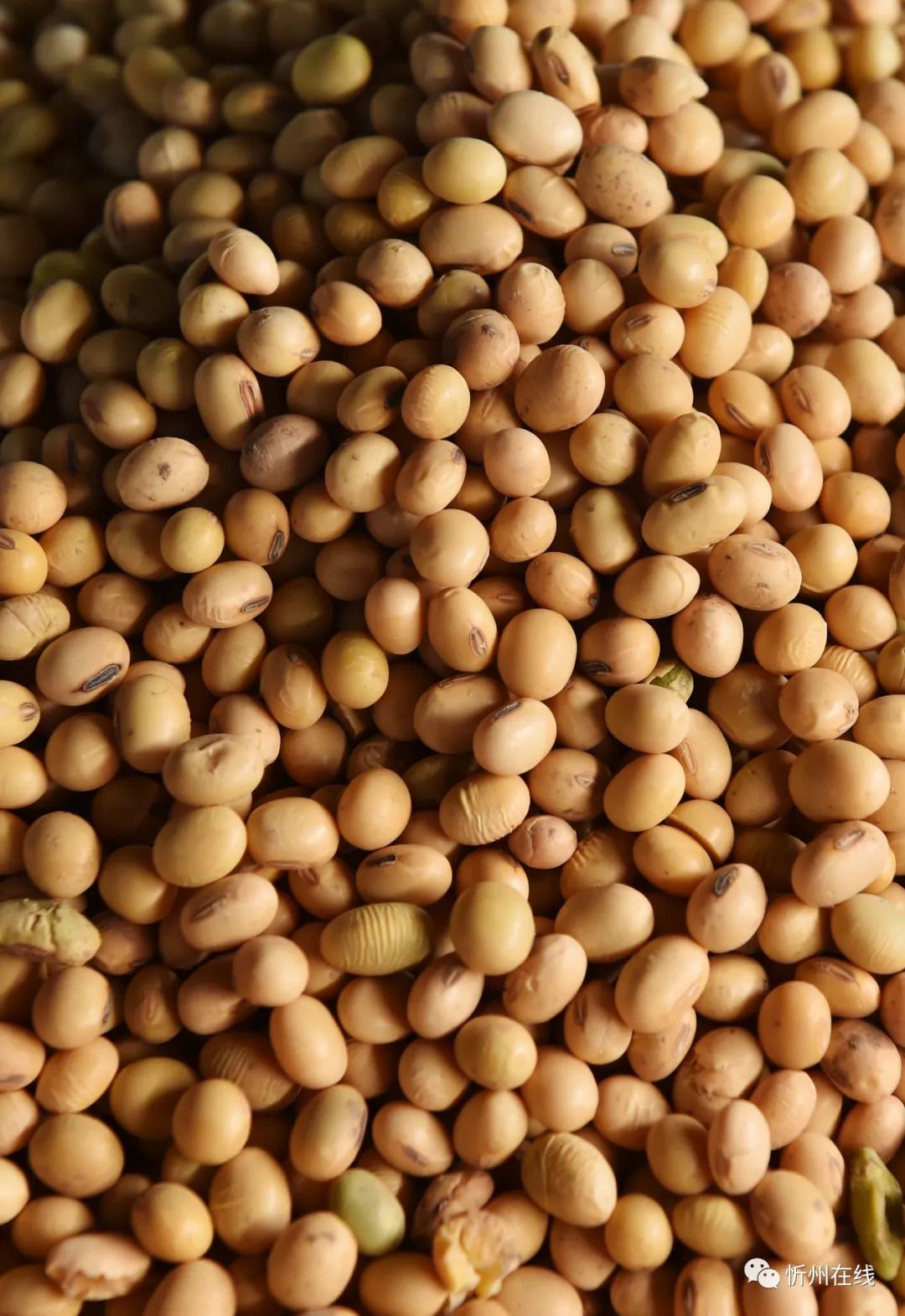 高手在民间品味人生,高手在民间3秒记1000字