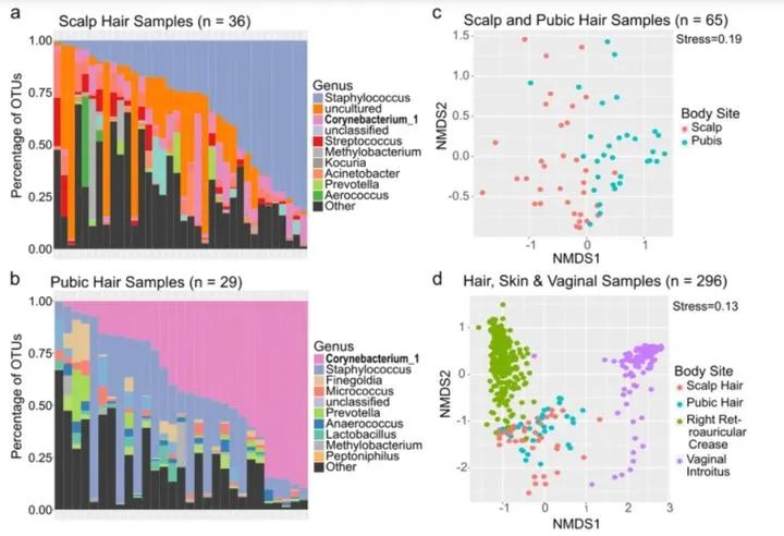 头皮特别痒还结硬痂有大块头屑,头皮头屑多掉发按手上什么穴位