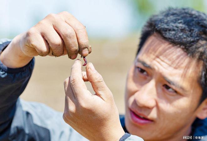 小伙养泥鳅年入百万,90后小伙养变异泥鳅