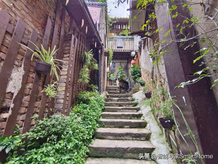 iqoo10最新款,iqoo10全系列推荐