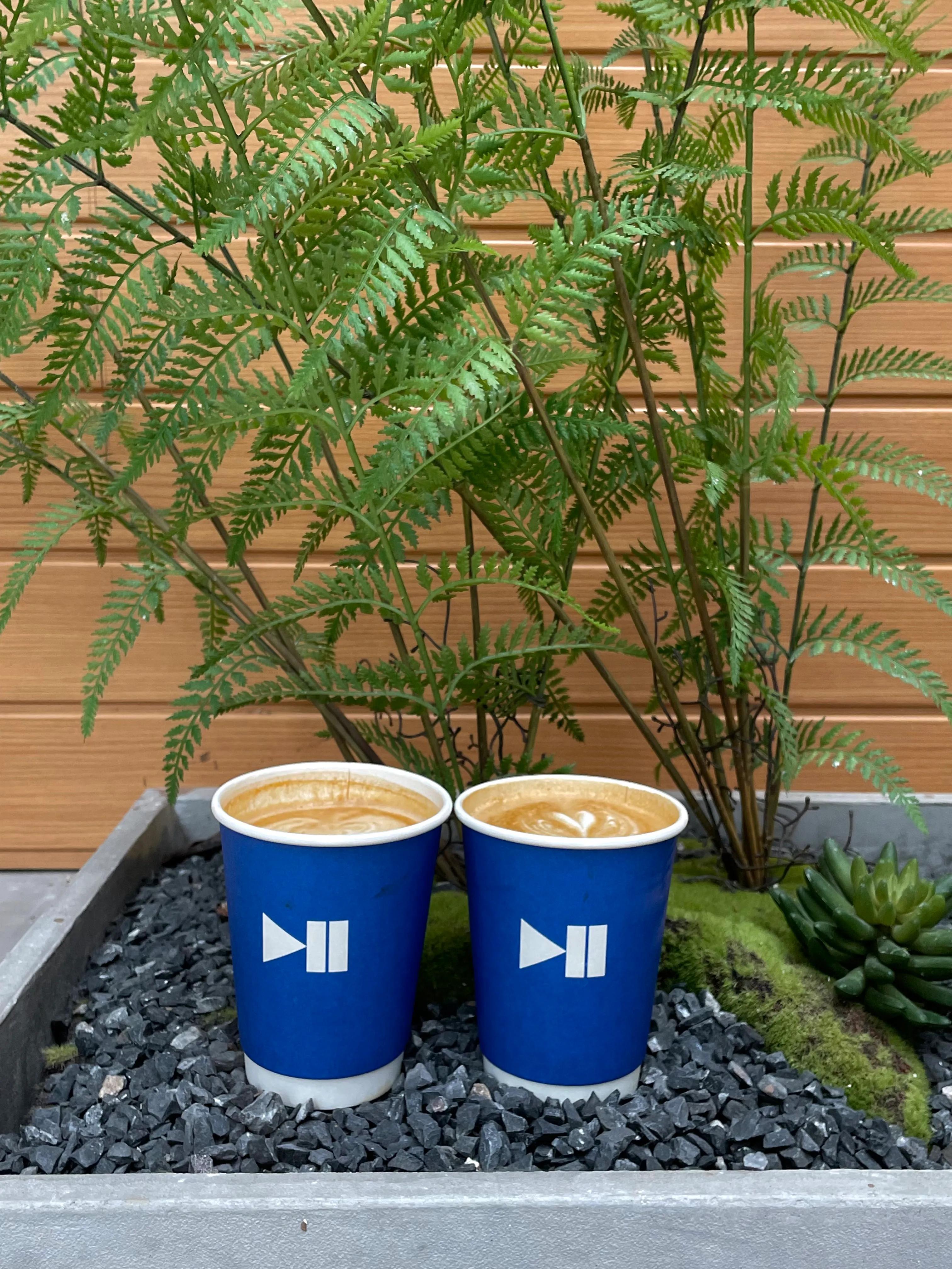 成都最有氛围的咖啡店,成都屋顶咖啡馆推荐