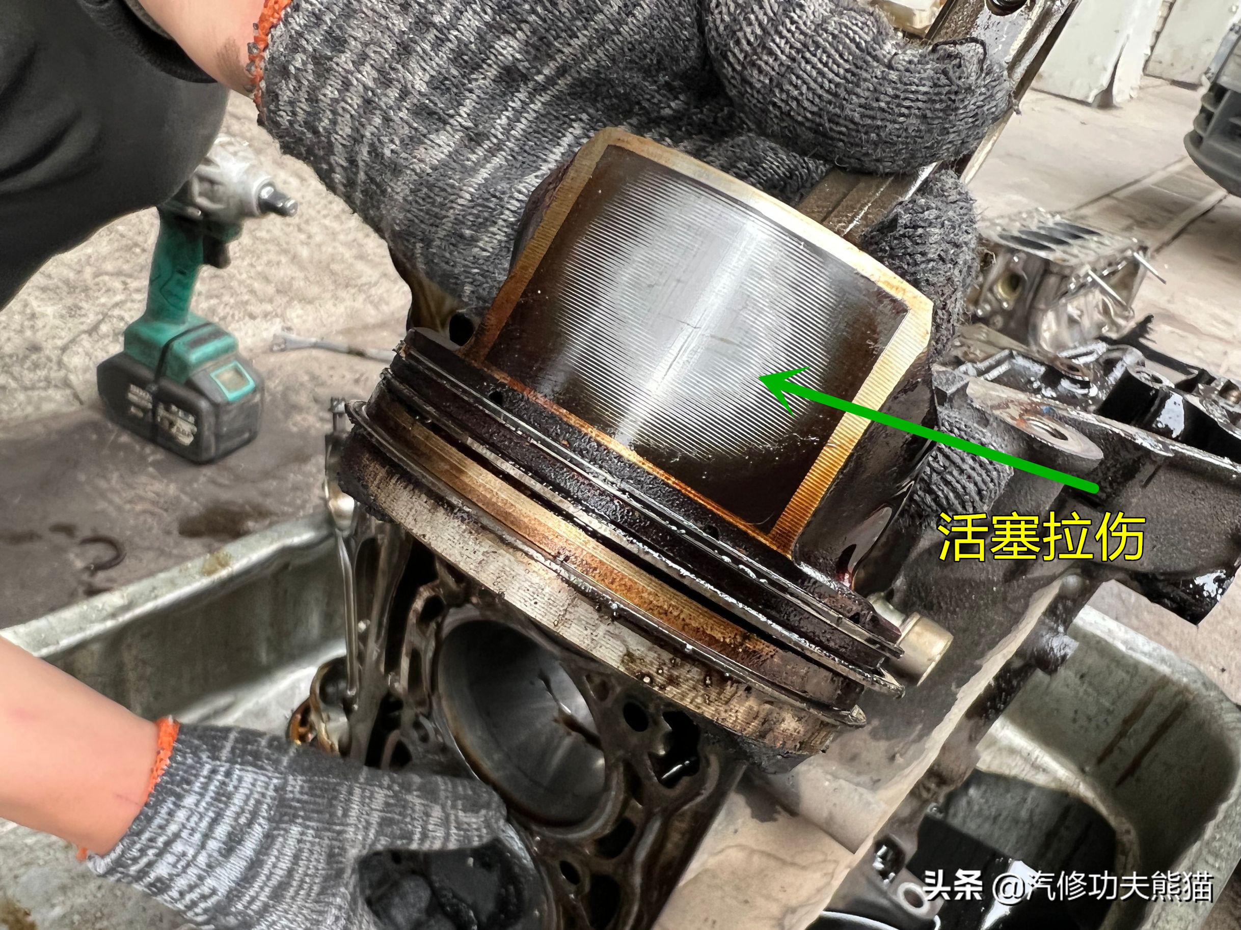 甯曡惃鐗硅溅涓荤儳鏈烘补瑙嗛,澶т紬甯曡惃鐗圭儳姘旈棬