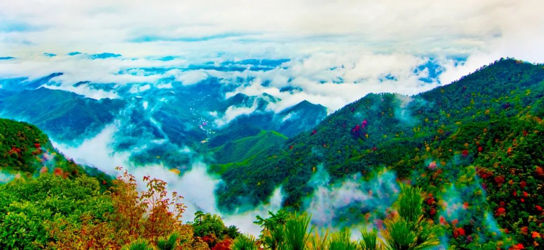 519旅游日景区半价活动,519中国旅游日北京免费景点