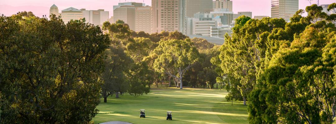 激情卡塔尔,激情世界杯决战卡塔尔