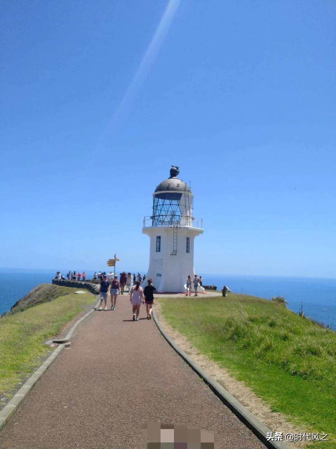 地球最孤独的大陆新西兰,最孤独的国家新西兰