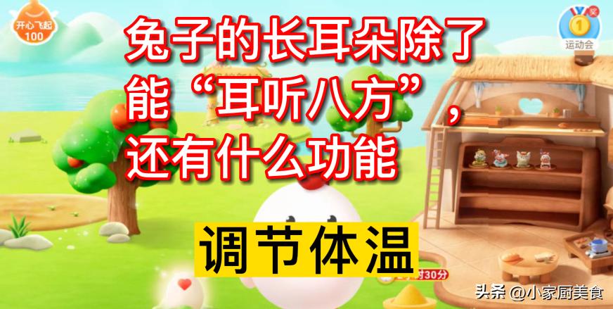 兔子的耳朵长有什么特点,兔子的耳朵除了长有什么特别