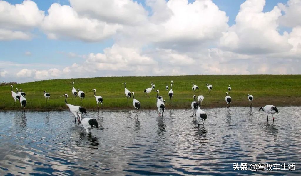 挑战极寒自驾游大兴安岭,大兴安岭金秋穿越之旅