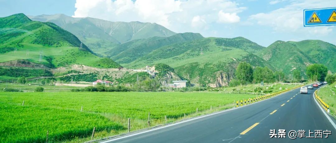 7月20号，神秘区域将举办神秘活动…