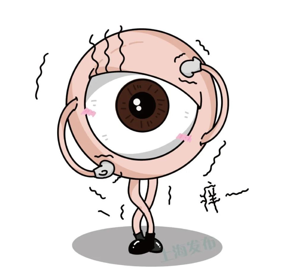 刷手机眼睛越看越模糊,看手机眼睛干涩用什么眼药水