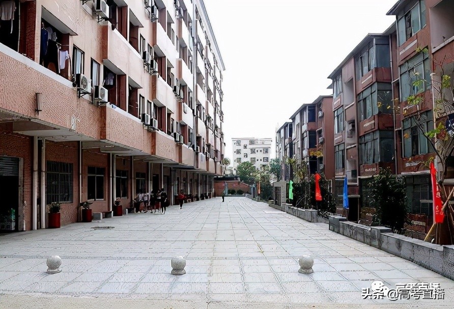 深职全国专科排名,2021广东公办专科学校排名