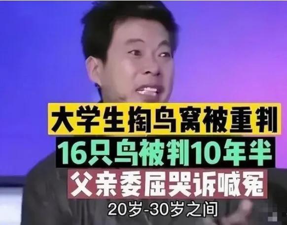 河南新乡大学生掏鸟窝被判了十年,河南少年掏鸟窝判十年后续