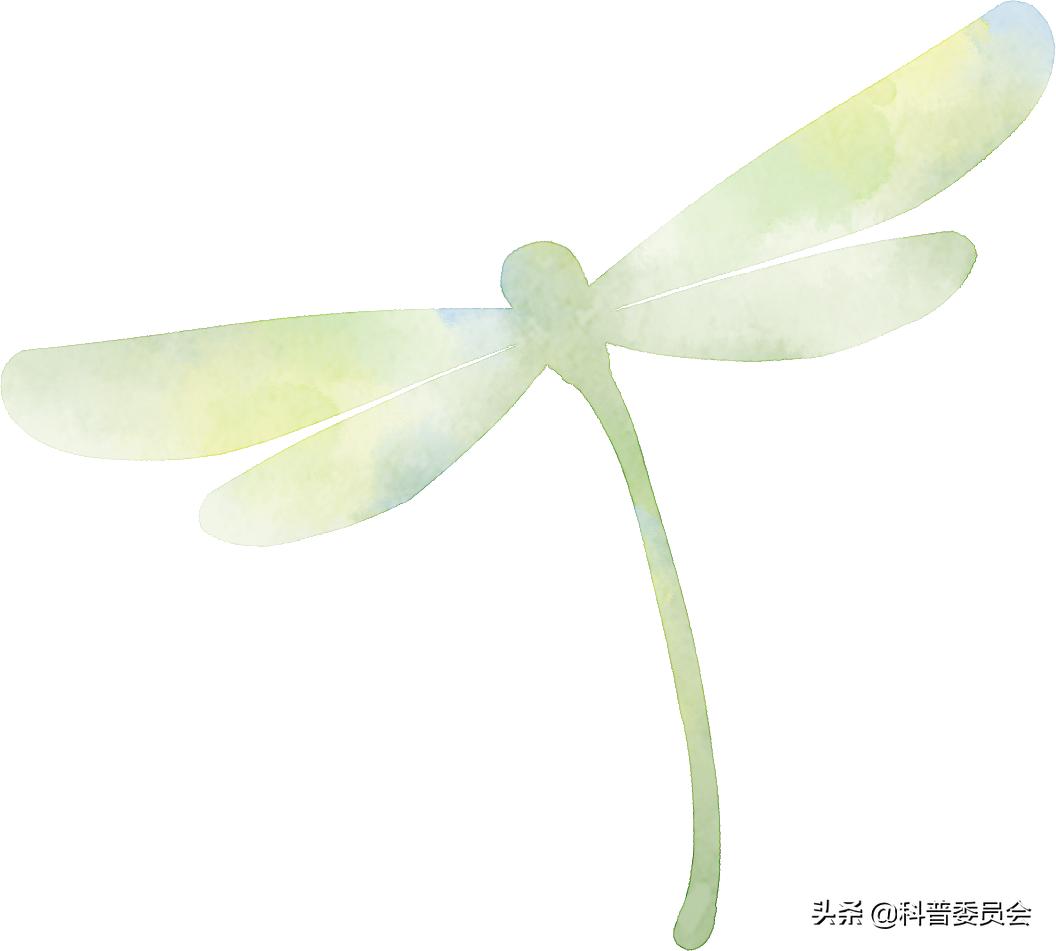 政协开展我为群众办实事活动,政协委员为群众办实事