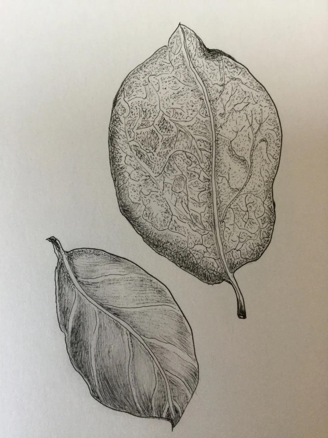 幸福画吧画友作品欣赏,幸福原创绘画作品欣赏