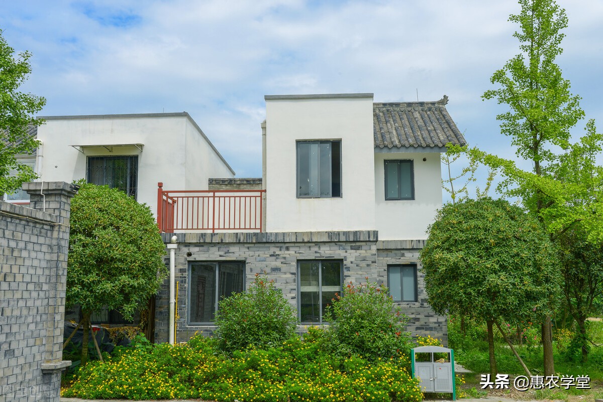 2022年自建房超出报建面积怎么办,国家政策农村自建房能建多少平方