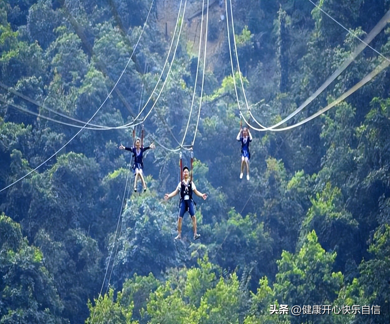 大型游乐设备基础知识,大型游乐设施特种设备标准