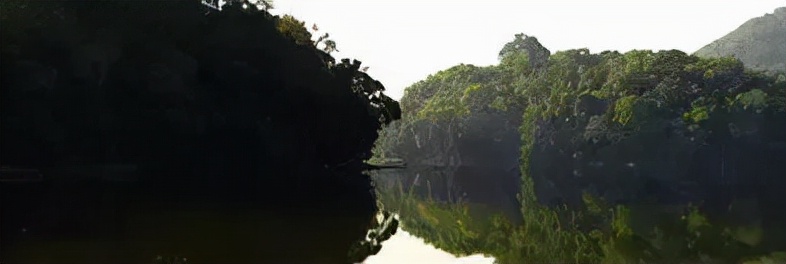 普洱茶记录,云南普洱茶的六大茶山