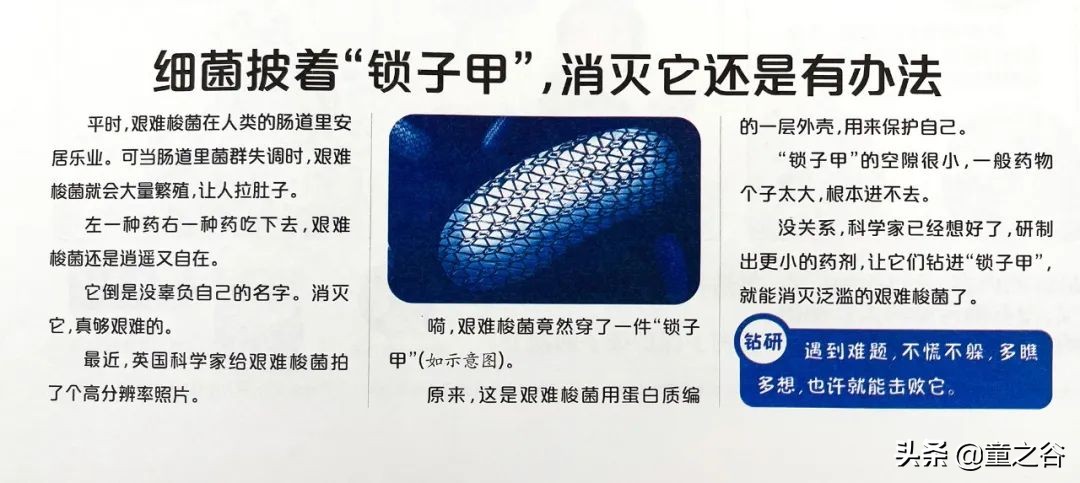 小学生需要知道的时事新闻知识,小学生记录时事新闻播报最新一期