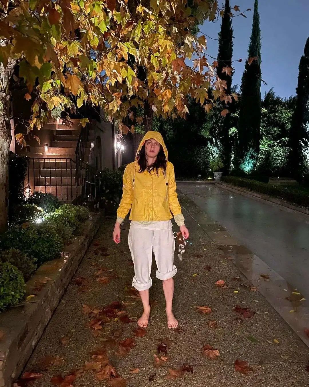 年纪轻轻就结婚的好莱坞女明星,好莱坞女星婚姻状况