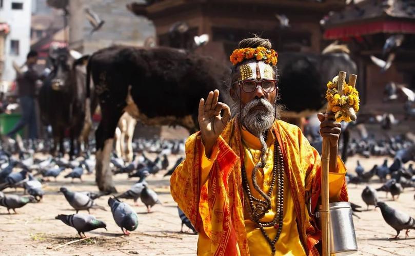 印度垃圾山养出巨鸟，比小孩还高，为何当地贫民吃垃圾也不吃它？