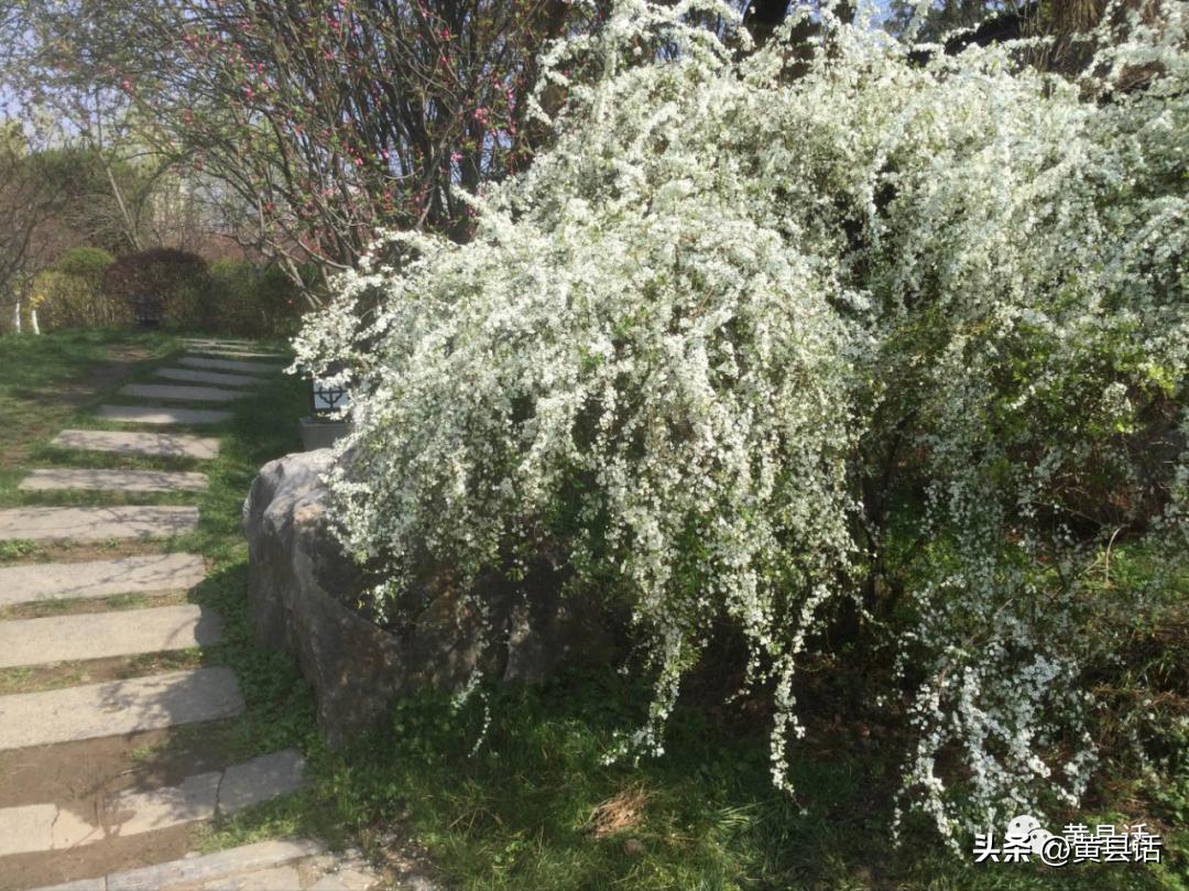 条子编筐子步骤图解,十二种手工编筐