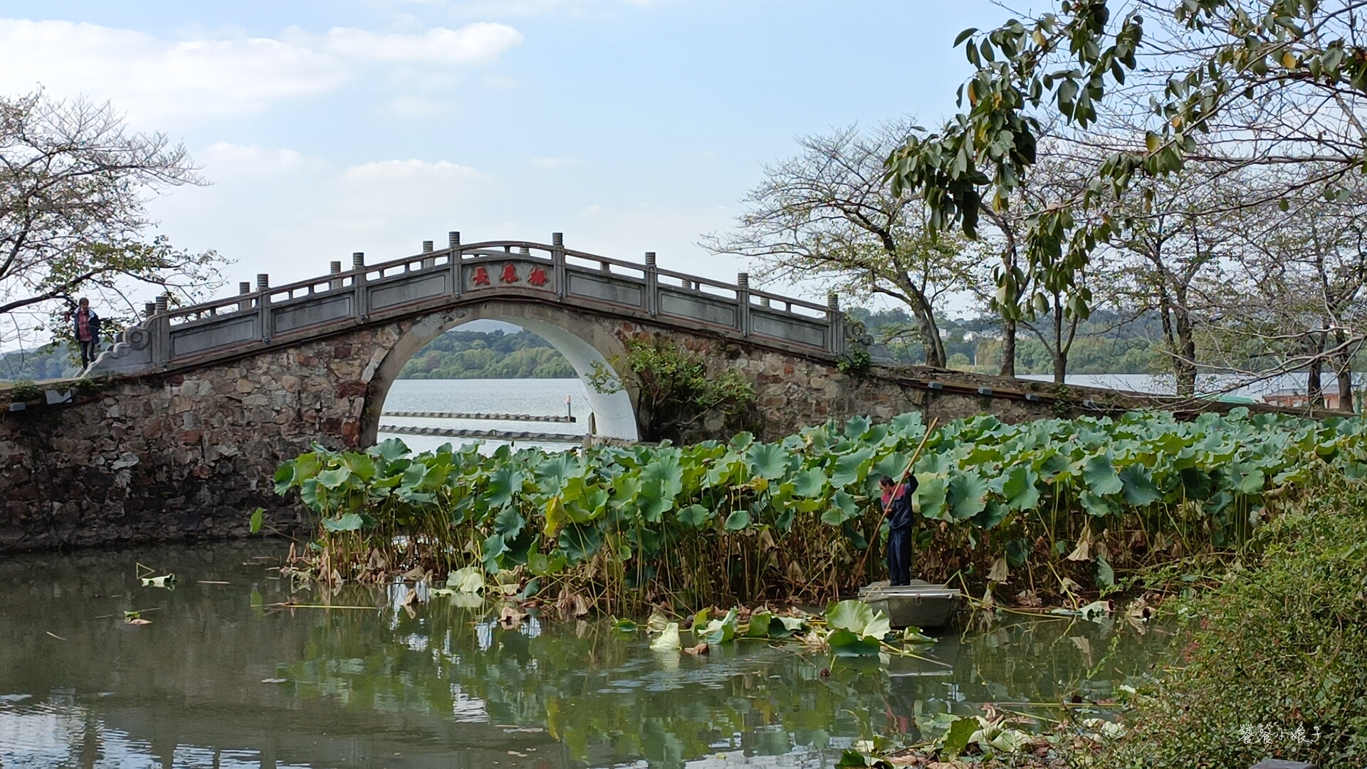 苏州的太湖与无锡太湖连吗,为什么苏州拥有那么大面积的太湖