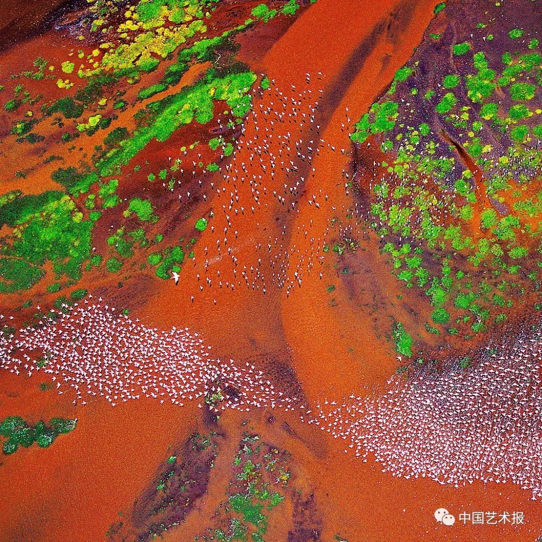 摄影师王琛访谈,采访景深视频