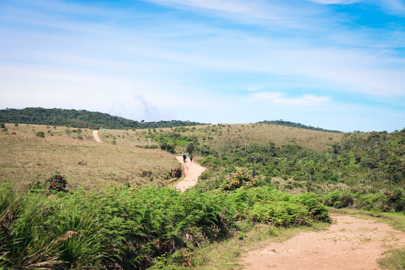 斯里兰卡旅游攻略必去景点,斯里兰卡旅游攻略最佳时间